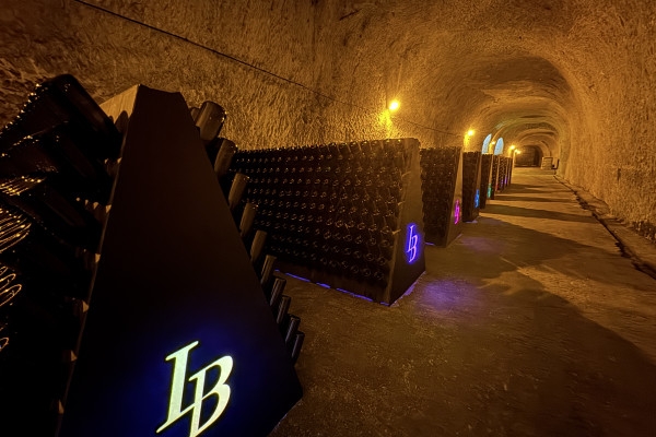 PATRIMOINE MONDIAL - Visite du Maréchal de France - Exploregion