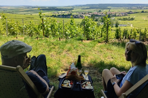 The must-see: Picnic and Champagne tasting - Exploregion