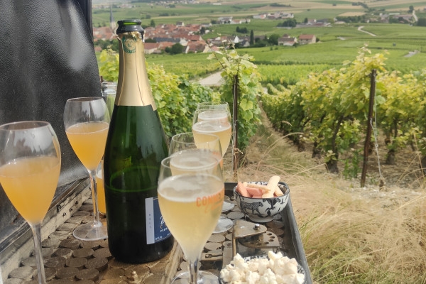 The must-see: Picnic and Champagne tasting - Exploregion