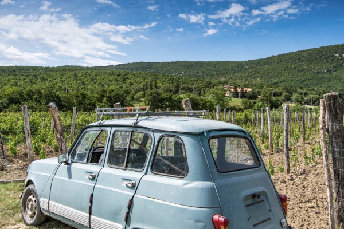 DISCOVERY RALLY ALSACE WINE ROUTE - Exploregion