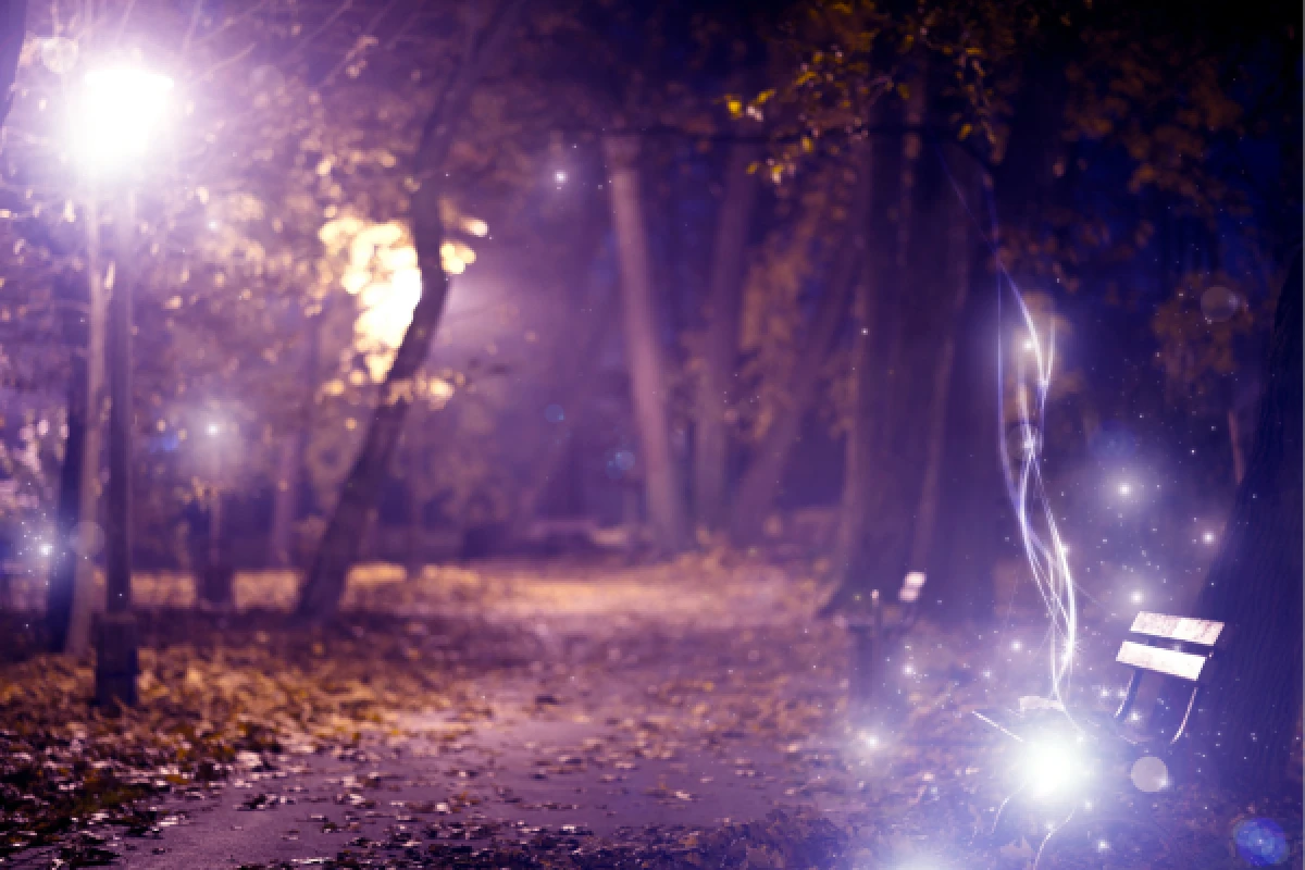 Sortilège in Mulhouse : Escape Game outdoor magic theme - Exploregion