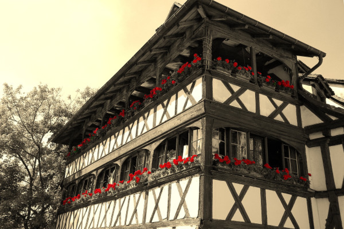 Strasbourg Historic Center Guided tour - Exploregion