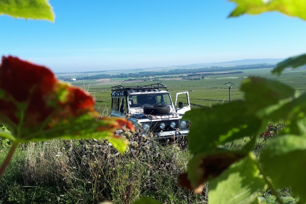 1/2 day  Earth and Sky  CLASSIC in Champagne - Exploregion