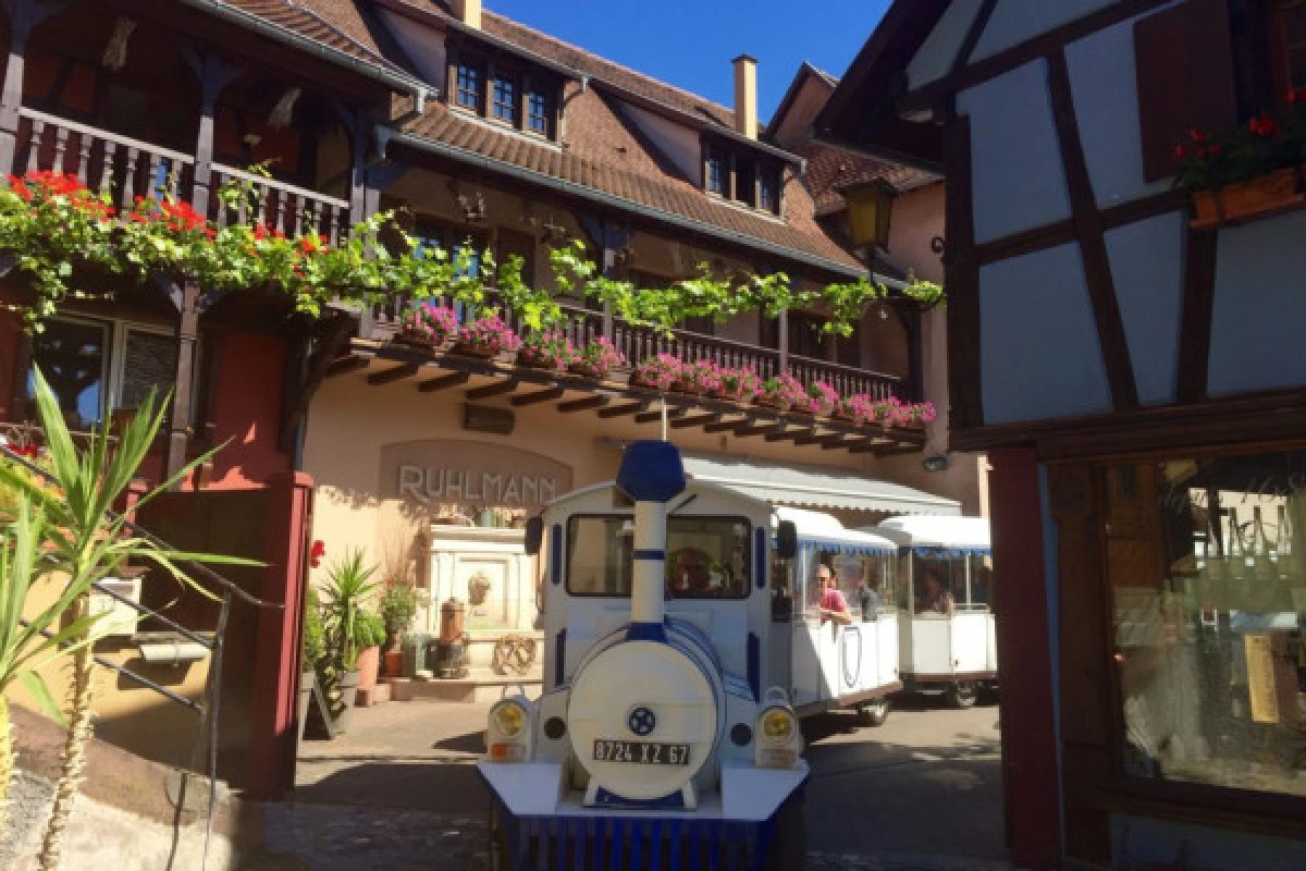 The Little Winegrower's Train - Exploregion