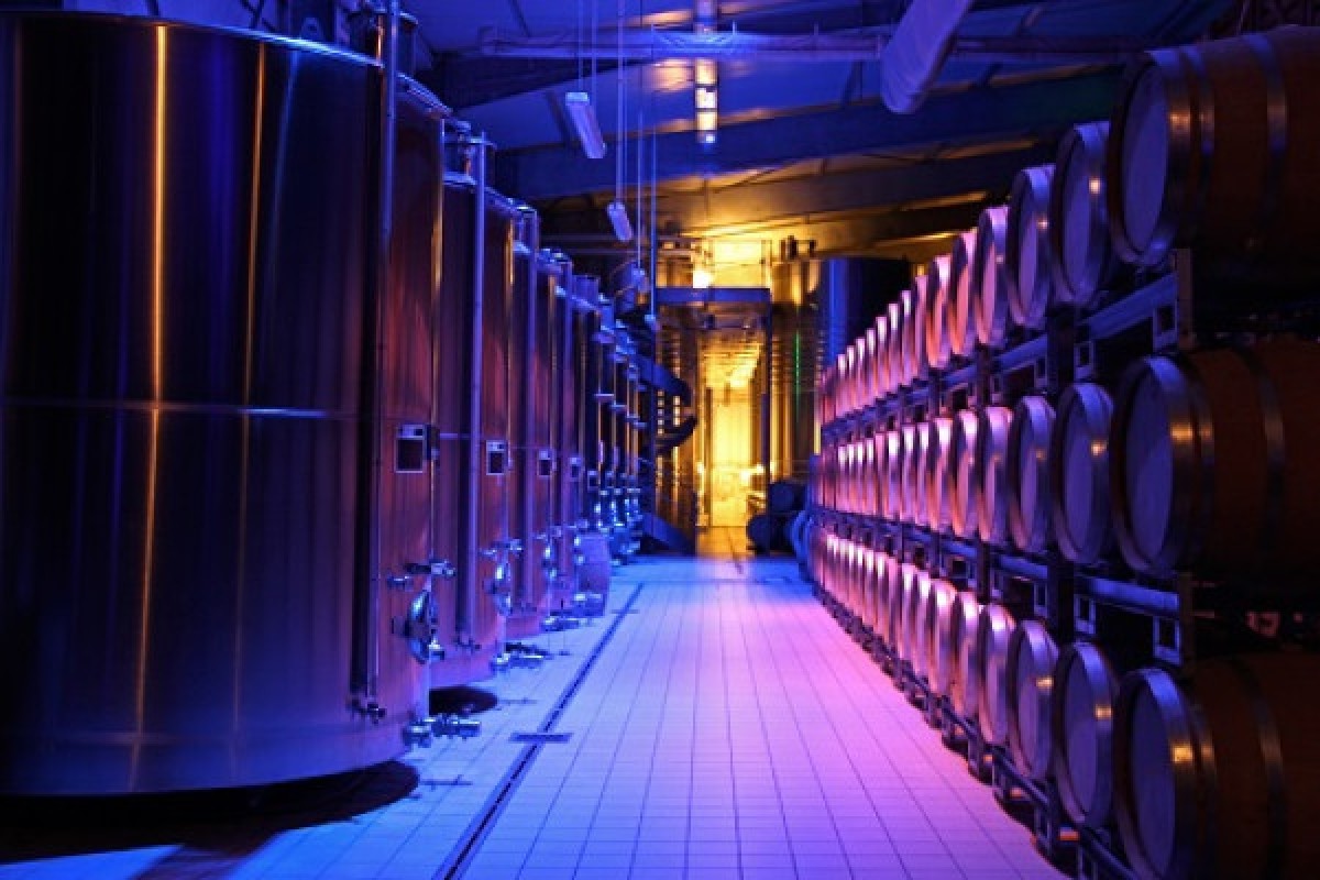 The Roots of Dom Caudron (Visit in English) - Exploregion