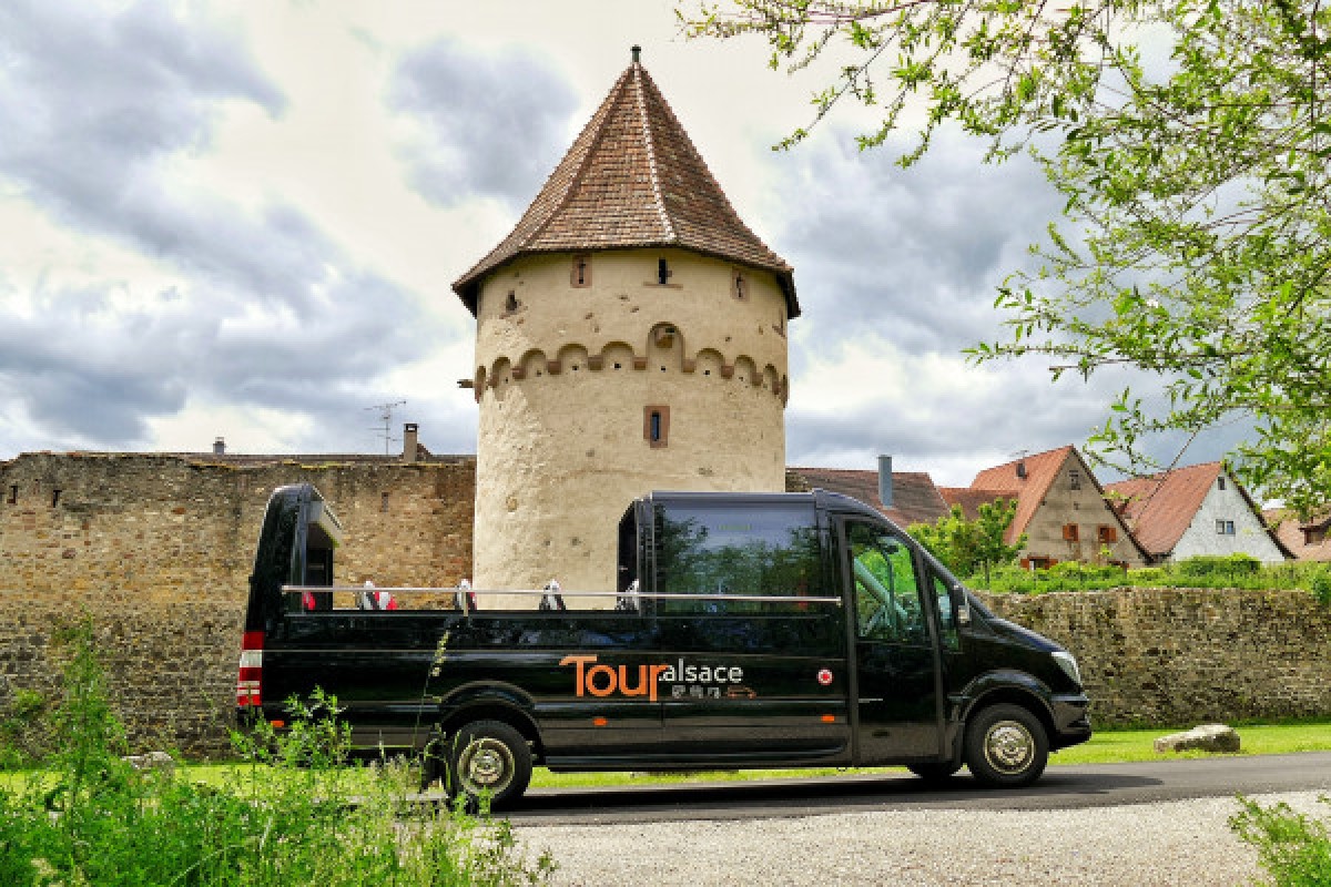 From Strasbourg: "Best Of Alsace" day tour - Exploregion