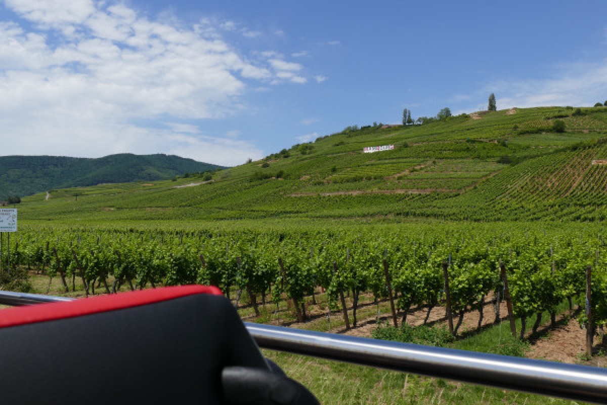 From Strasbourg: "Best Of Alsace" day tour - Exploregion