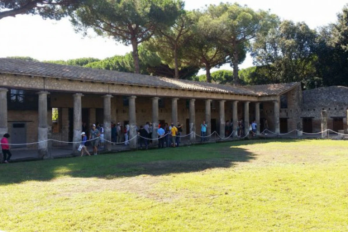 Tour Pompeii from Rome - Group Tour - Exploregion