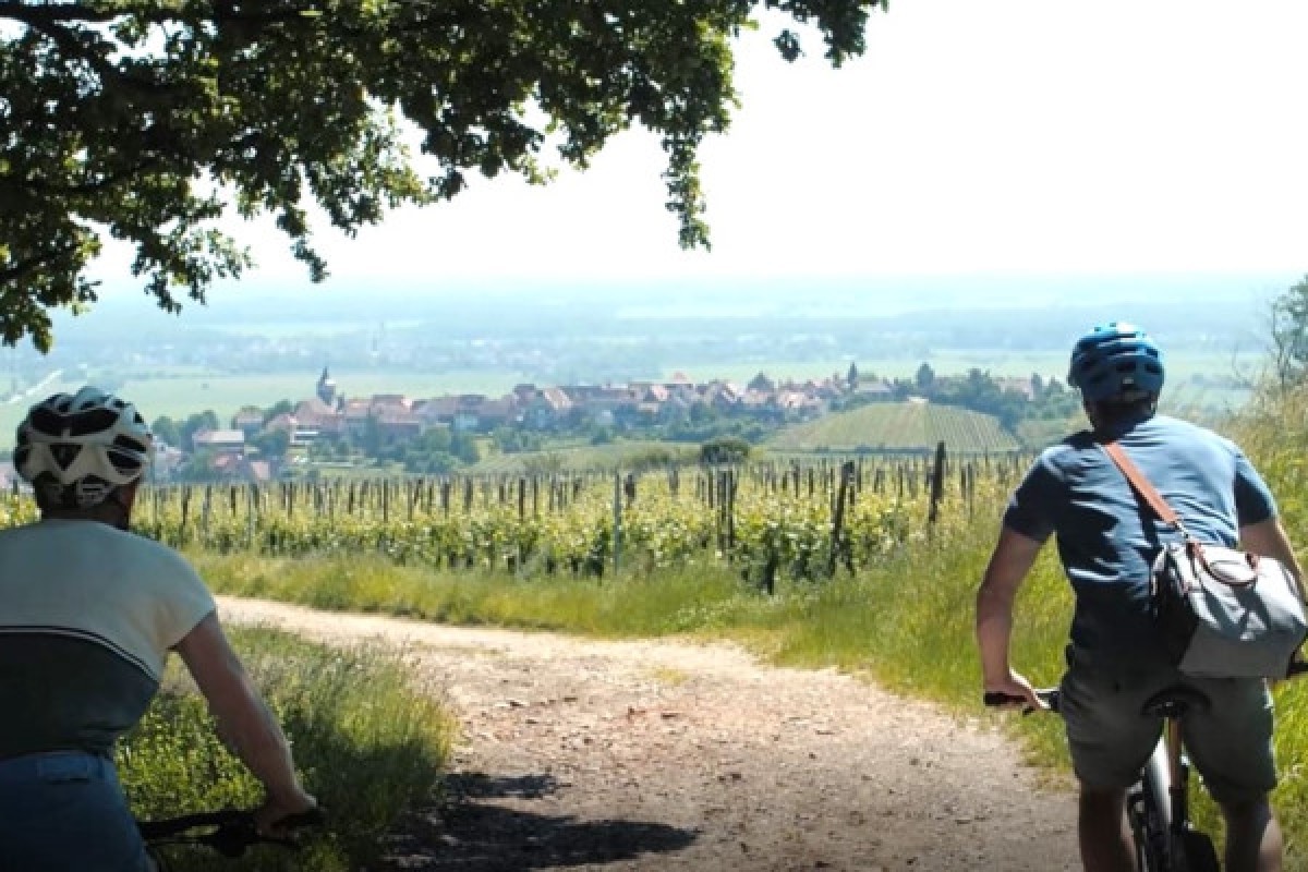 EBike, Picnic & Wine - Exploregion