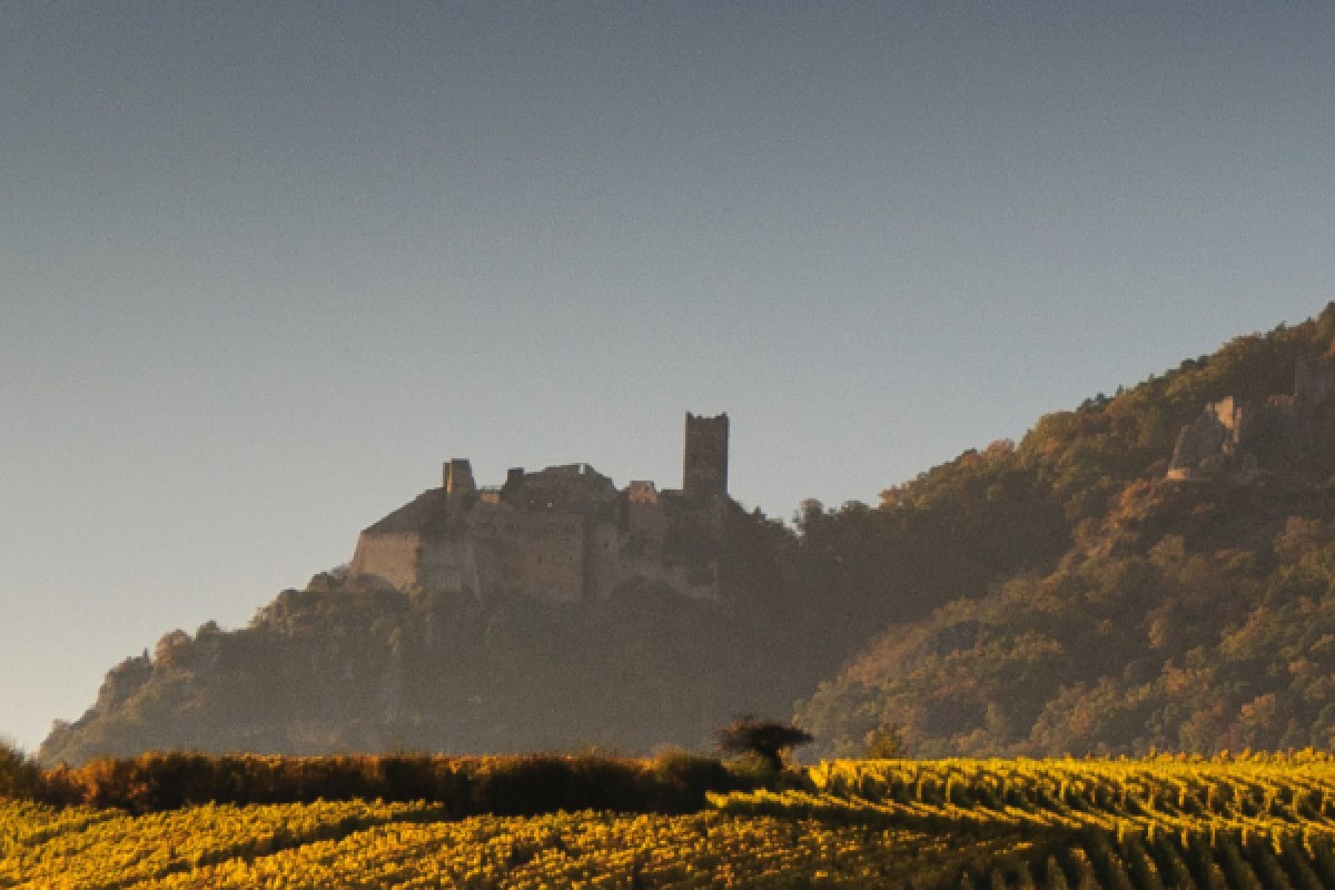 Alsace vineyards and wine tasting - Exploregion