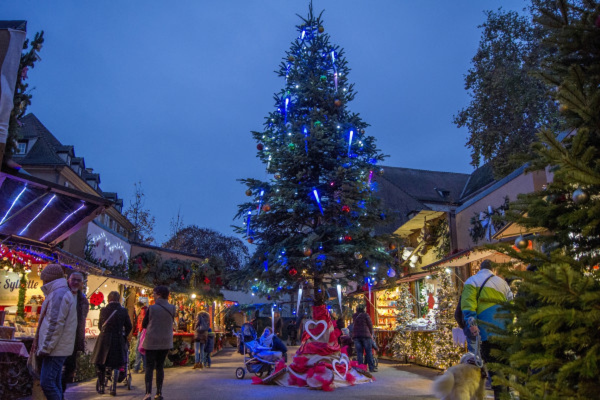 From Strasbourg: Alsace Villages and Christmas Markets - Exploregion