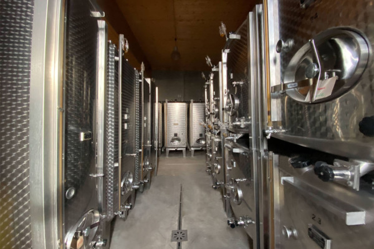 Cellar visit and wine tasting in Alsace, with a feminin touch - Exploregion