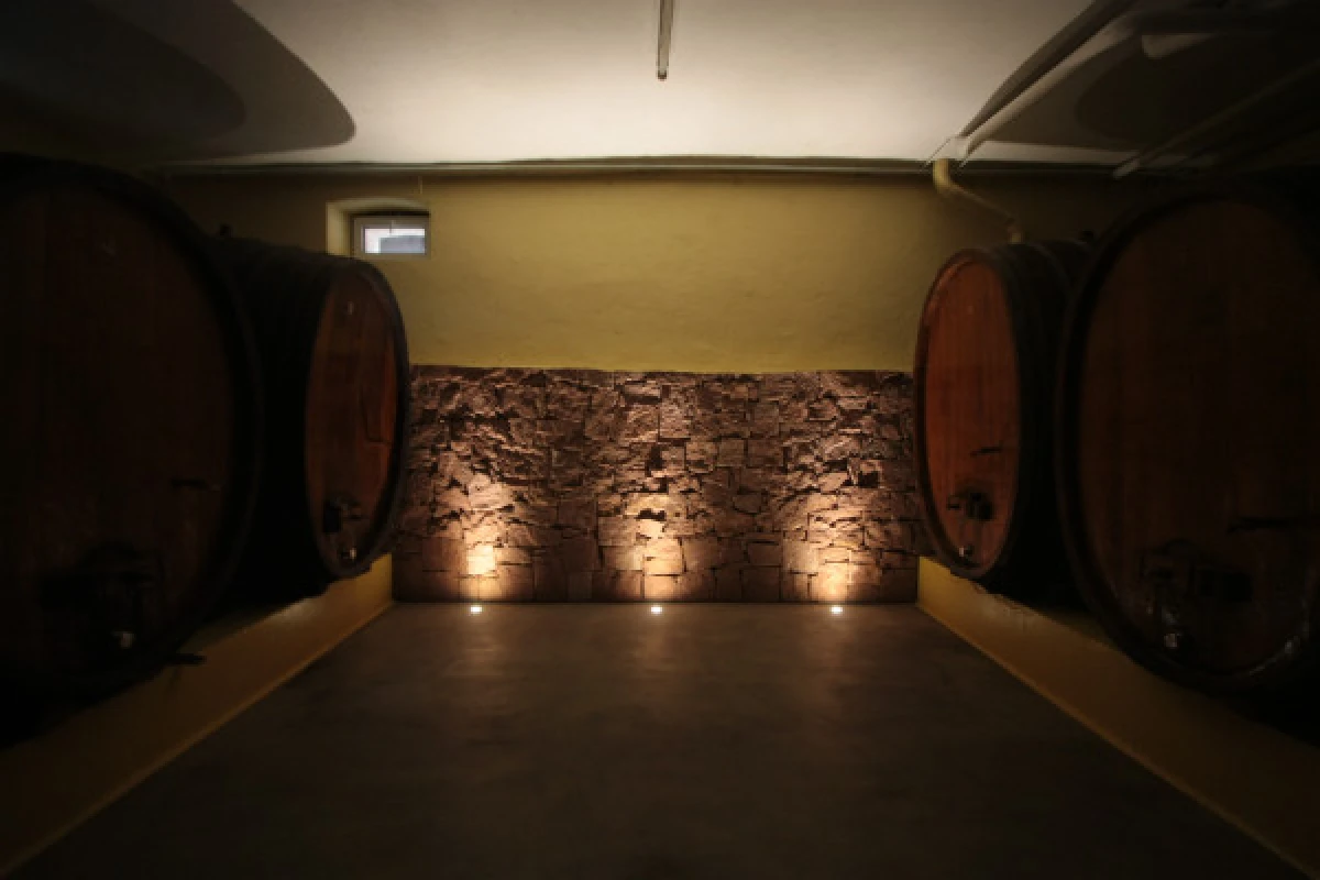Traditional visit & wine tasting - 5 grape varieties - Exploregion