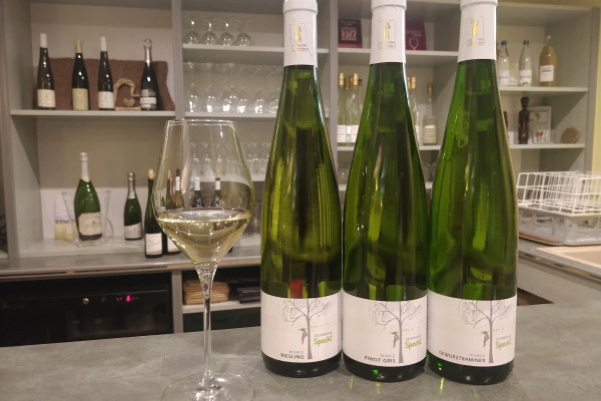 Traditional visit & wine tasting - 5 grape varieties - Exploregion
