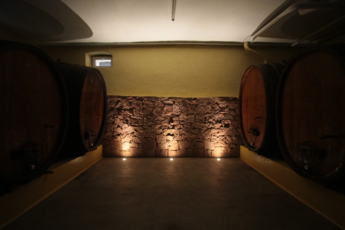 Traditional visit & wine tasting - 5 grape varieties - Exploregion