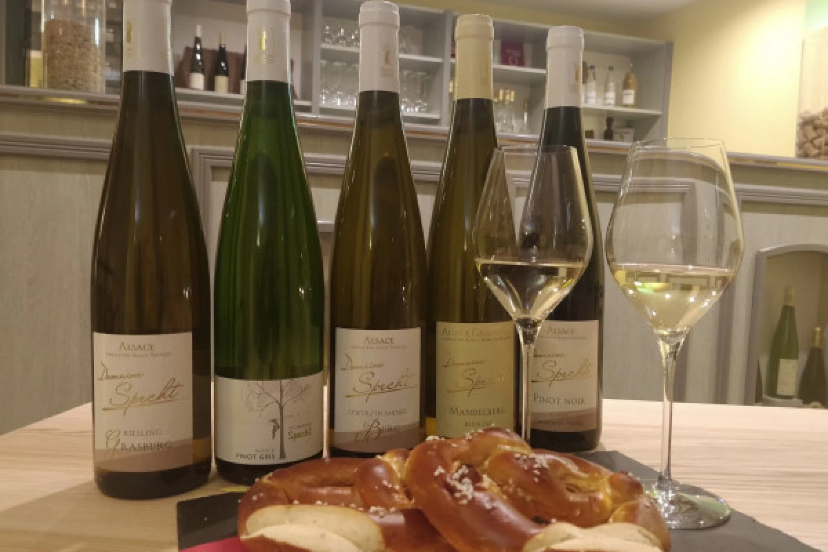 Traditional visit & wine tasting - 5 grape varieties - Exploregion