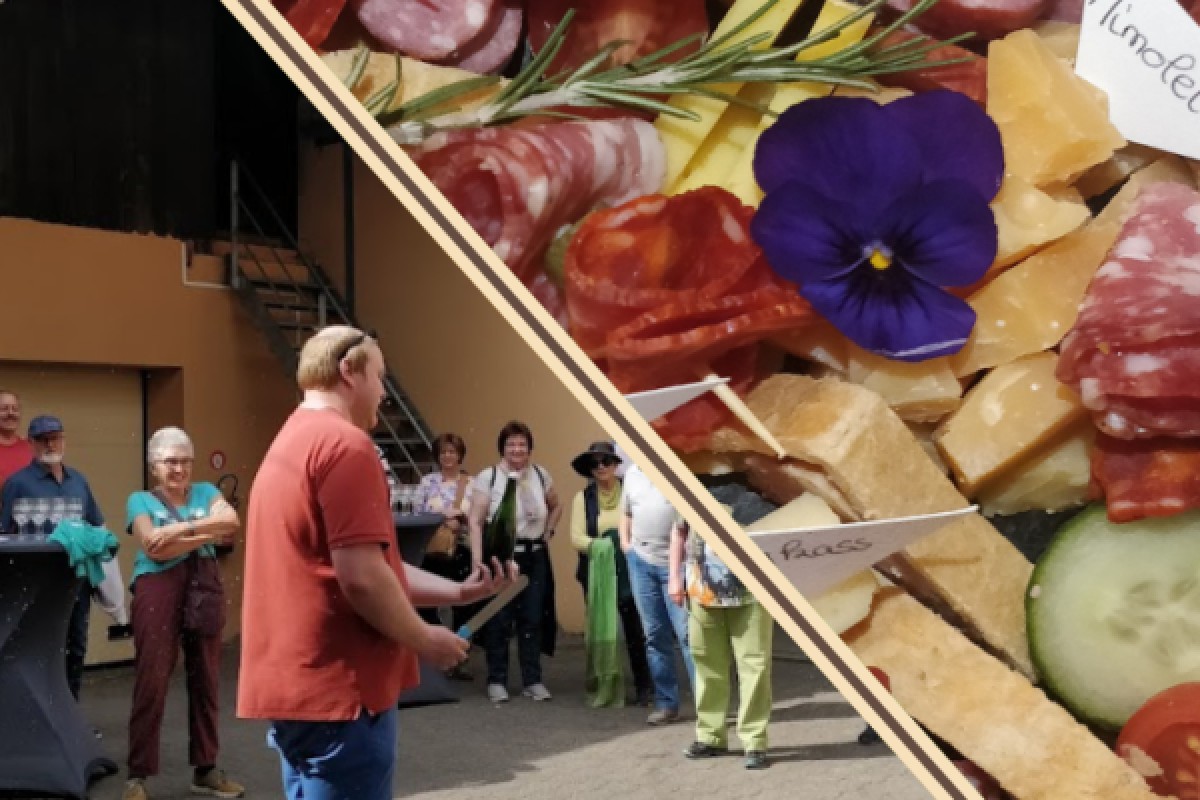 Traditional visit & wine tasting - 5 grape varieties - Exploregion