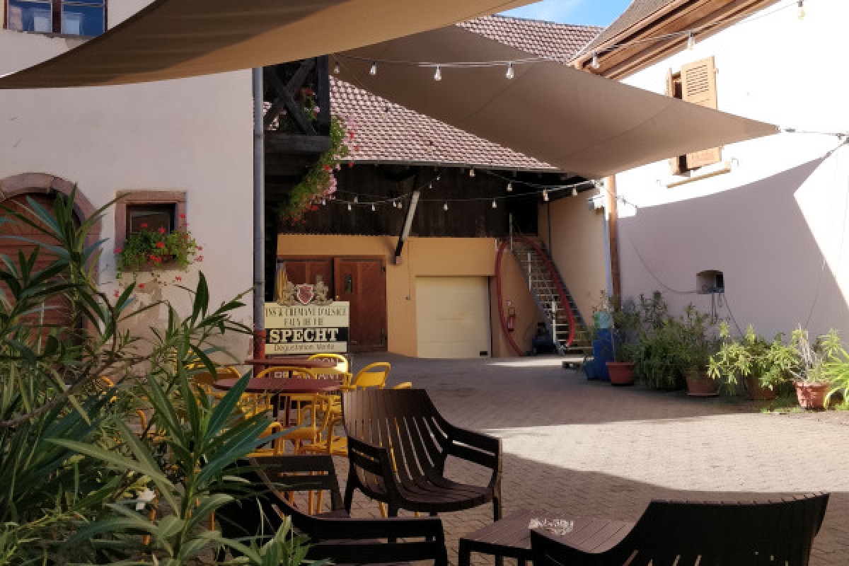 Traditional visit & wine tasting - 5 grape varieties - Exploregion