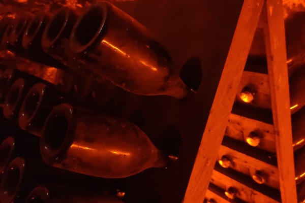 La Champenoise  Wine tourism 1/2 day - Exploregion