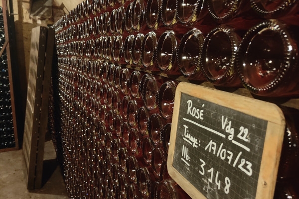 La Champenoise, Visit & tasting Vintage - Exploregion