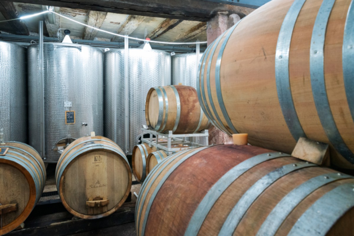 Cellar visit and discovery of Alsace wines - Exploregion