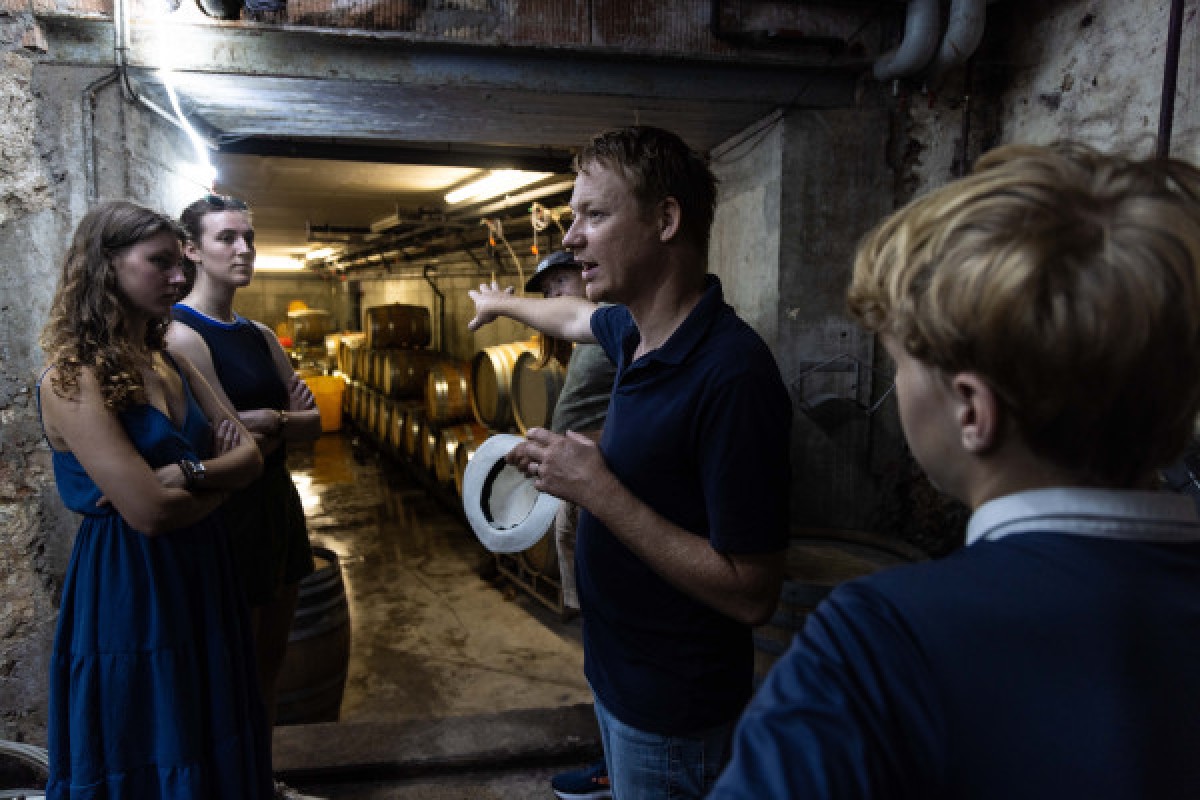 Cellar visit and discovery of Alsace wines - Exploregion