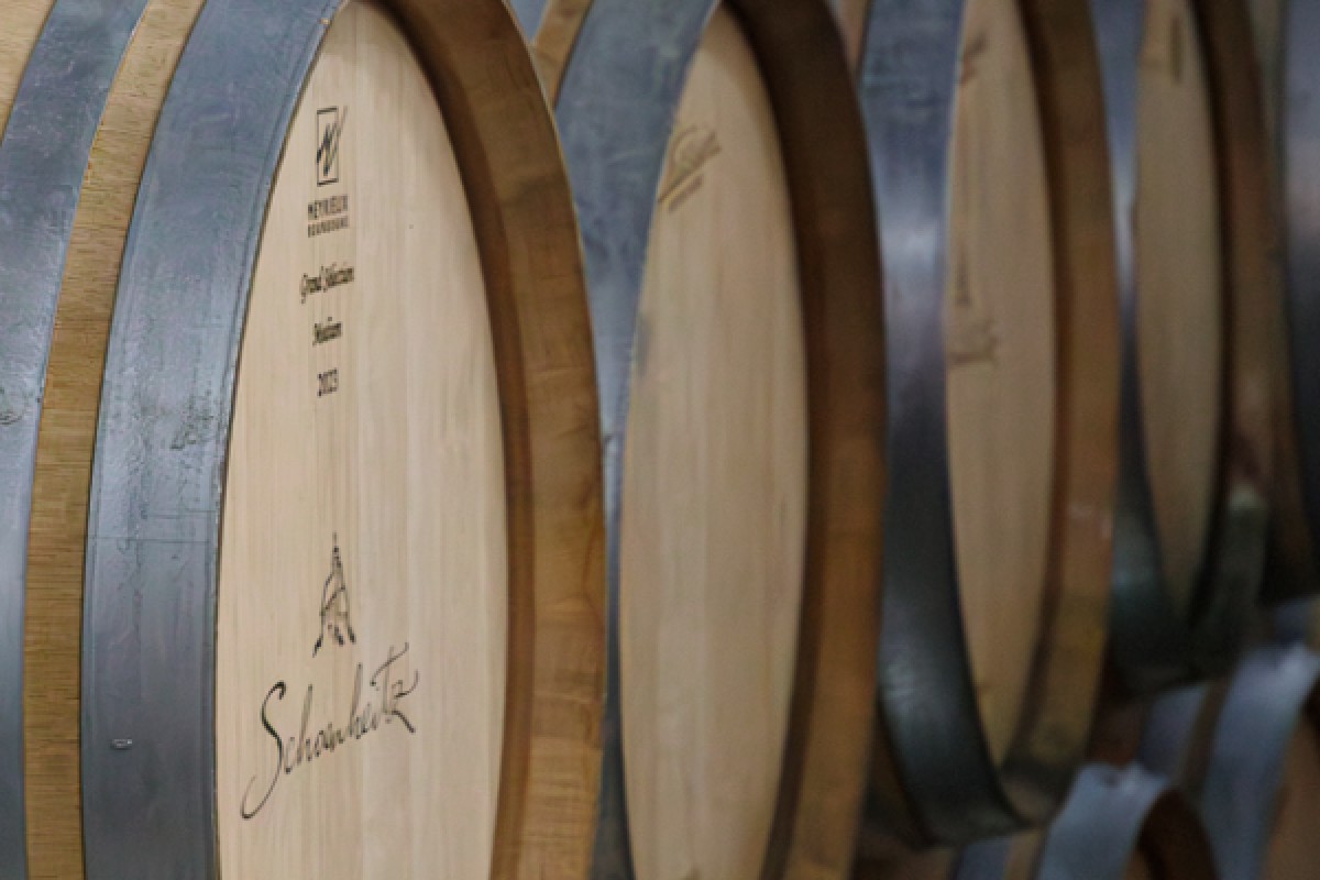 Cellar visit and discovery of Alsace wines - Exploregion