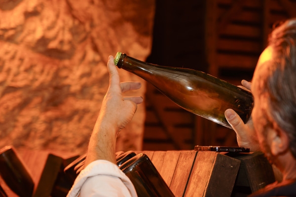 Gallo-roman chalk quarry visit (UNESCO) + 2 tastings - Exploregion