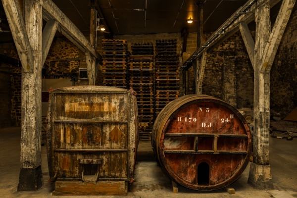 Gallo-roman chalk quarry visit (UNESCO) + 2 tastings - Exploregion