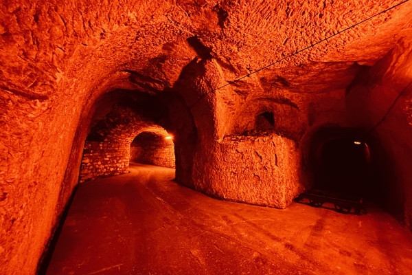 Gallo-roman chalk quarry visit (UNESCO) + 3 tastings - Exploregion