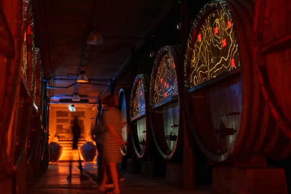 Immersive cellar tour, tasting and board meal - Exploregion