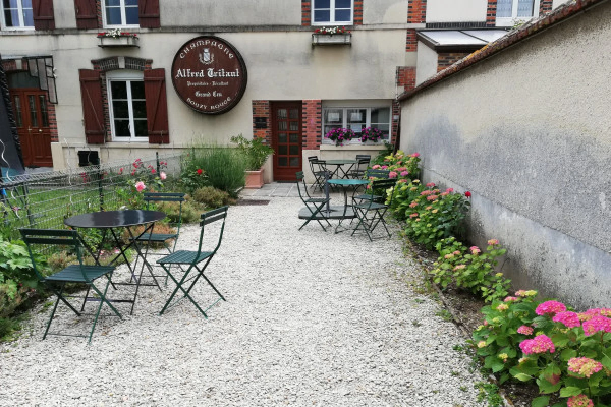 Discovery Visit - Champagne Alfred TRITANT - Exploregion