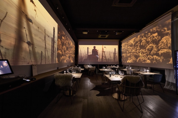 Wine tour, tasting and Alsatian meal - 100% immersive experience - Exploregion