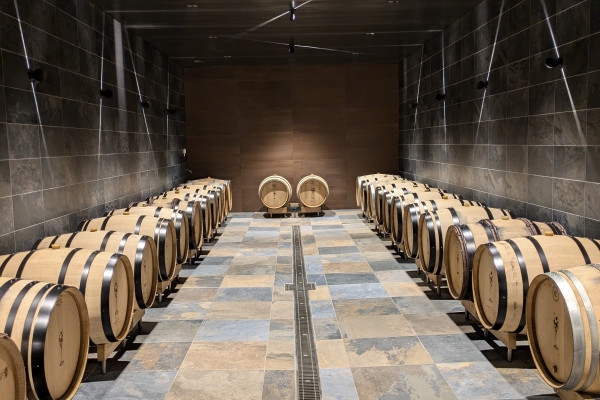 Visit the estate - cellar - Nogent l'Abbesse - Exploregion