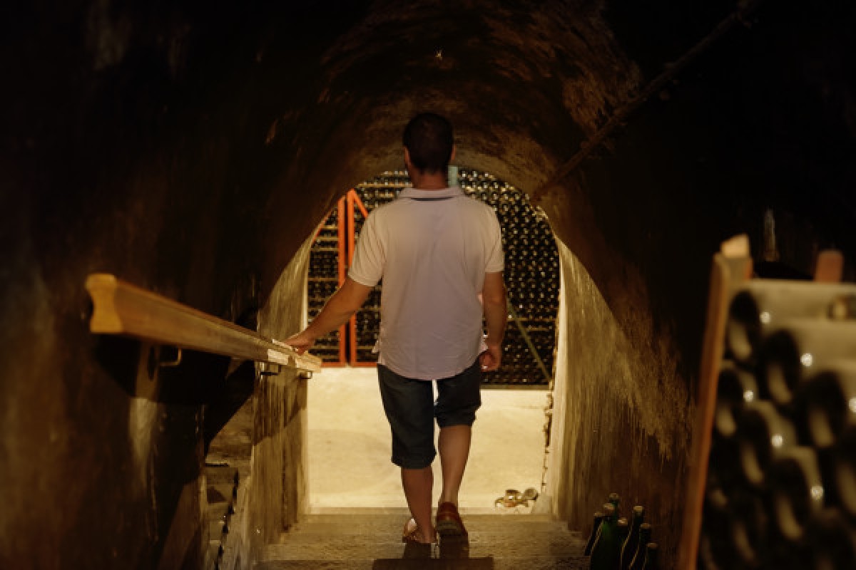 Immersion Visit - Champagne Alfred TRITANT - Exploregion