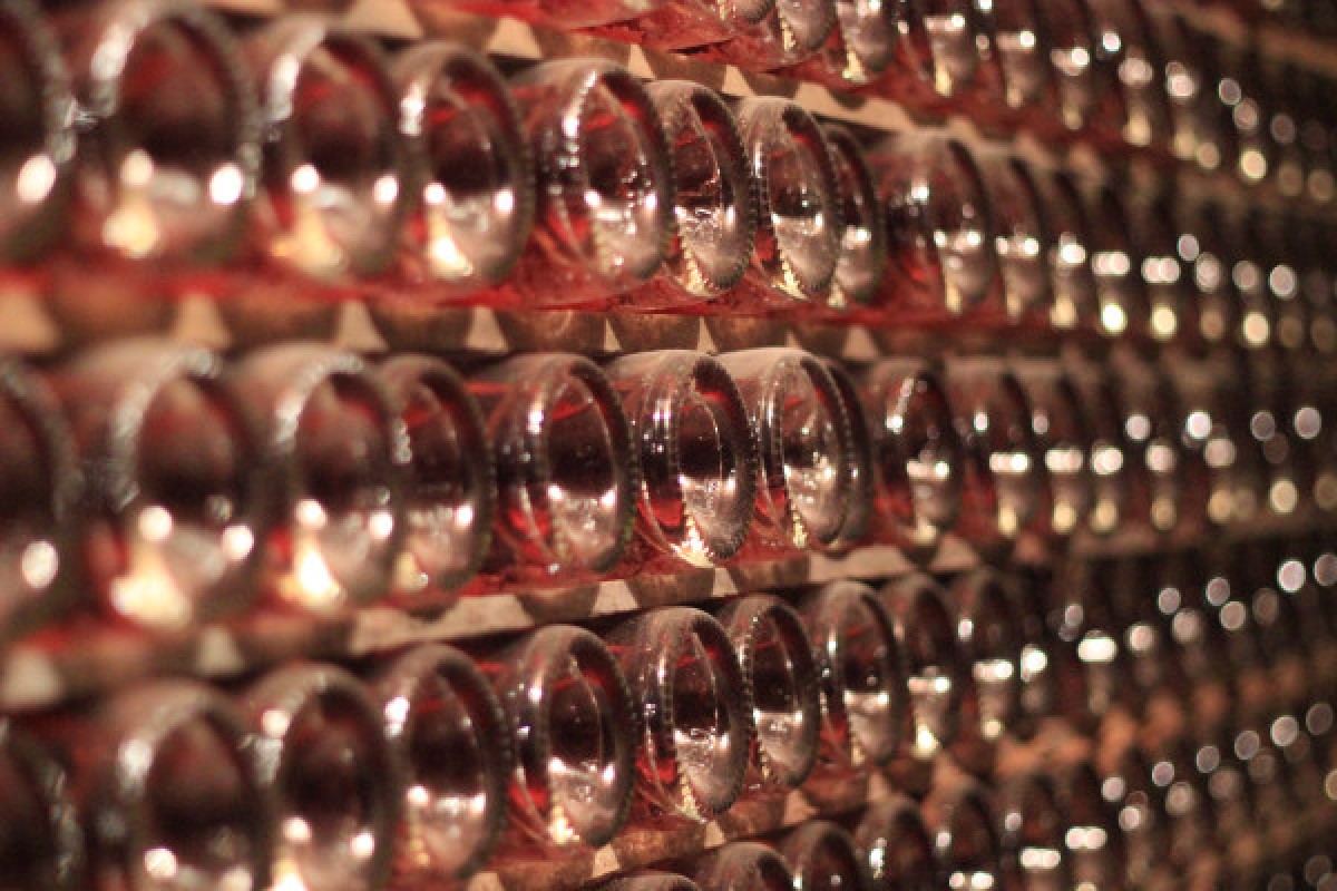 Immersion Visit - Champagne Alfred TRITANT - Exploregion