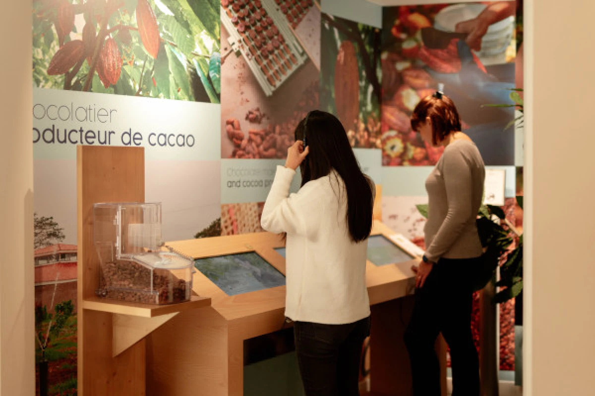 Visiting the museum - Exploregion