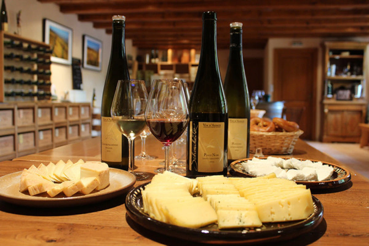 Wine and Cheese Tasting in the Munster Valley - Exploregion