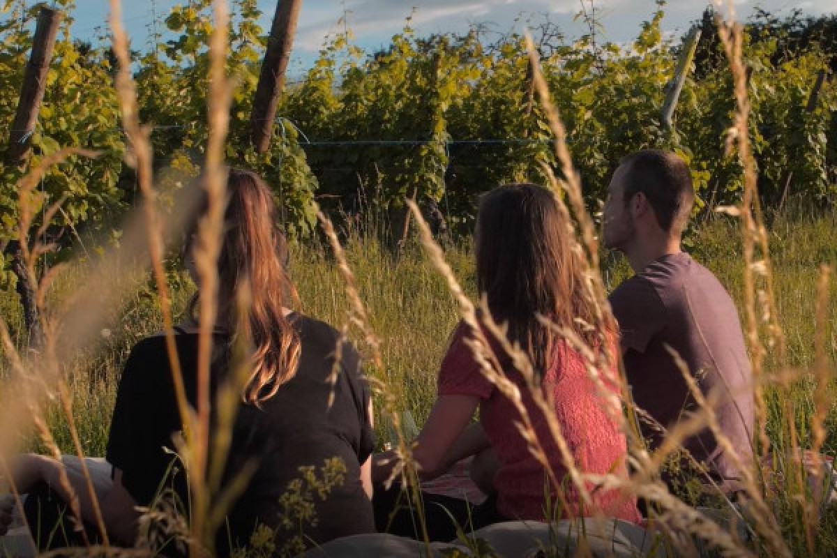 Yoga & Wine - Exploregion